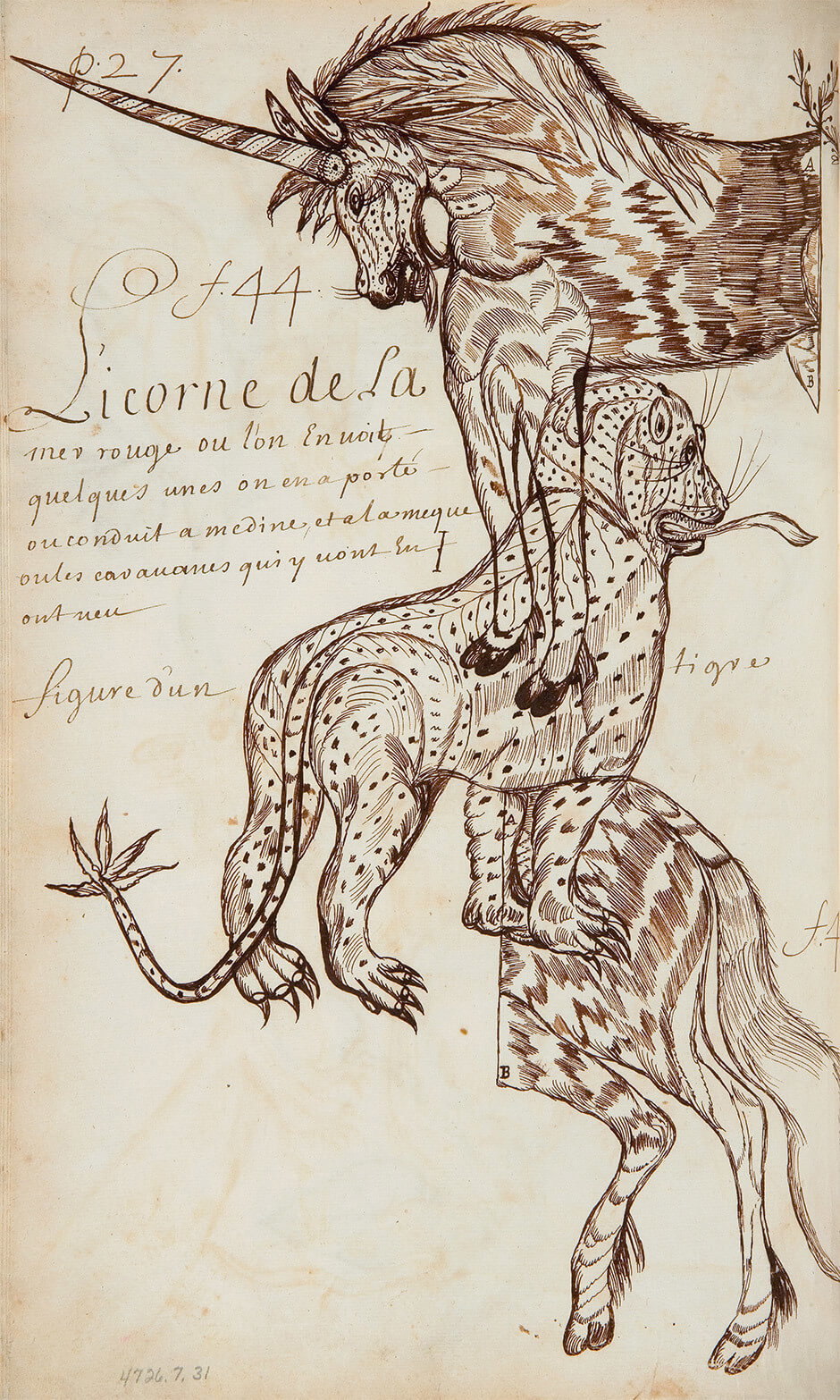 Art Canada Institute, Louis Nicolas, Unicorn of the Red Sea (Licorne de La mer rouge), Codex Canadensis