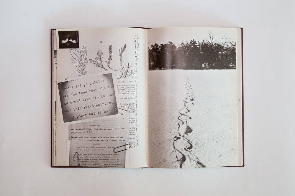 Art Canada Institute, Joyce Wieland, True Patriot Love bookwork, 1971