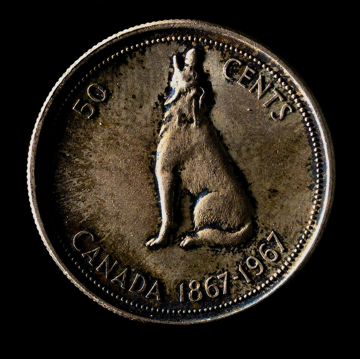 Art Canada Institute, Alex Colville, Colville Wolf 6275 (cinquante cents), 2013, par William Eakin