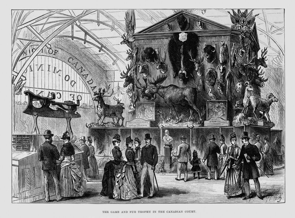 Canadian section at the Colonial and Indian Exhibition, London, 1886