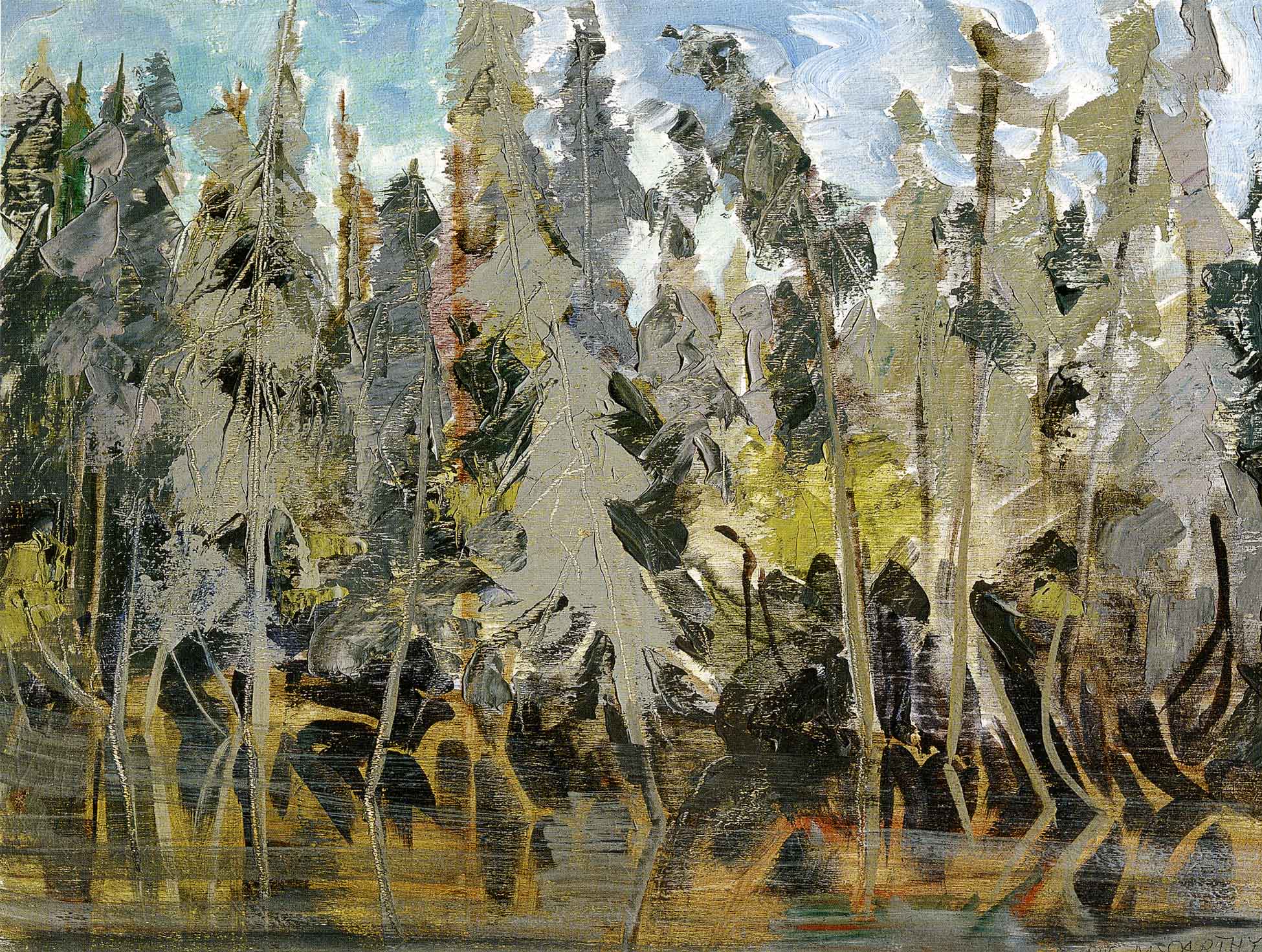 Grey Spruce in the Ditch, 1977